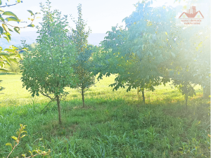 Prodaje se kuća u Klokotnici. Okružena prostranom livadom i šumom